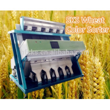 Máquina de procesamiento de trigo sarraceno CCD Clasificador de color para trigo duro